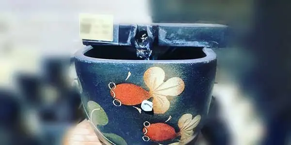 Flying Star 2018 Flying Star 2018